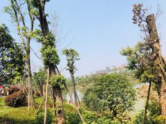 -枫香湖儿童公园