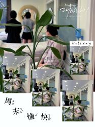 -开运眉半永久纹眉野生眉