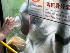 -栾川竹海野生动物园