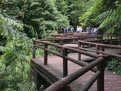 -赤水丹霞旅游区·佛光岩