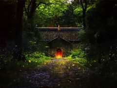 -灵谷景区