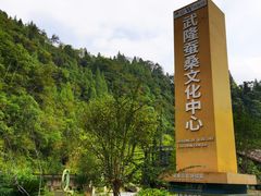-龙水峡地缝景区