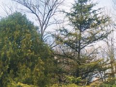 -北极寺公园