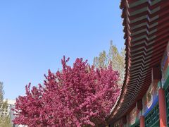 -丰台花园