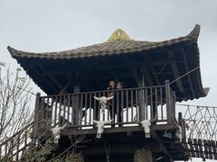 -呀路古热带植物园
