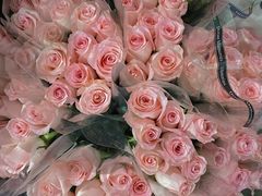 -循礼门鲜花花市(武汉循礼门店)