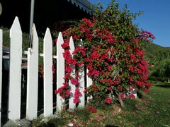 android_upload_pic-西昌邛海宾馆