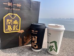 -一树一叶·福建茶档(石鼓路店)