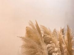 -花满楼(启秀路店)