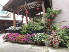 -王万妈卤猪脚(青岩交通路)