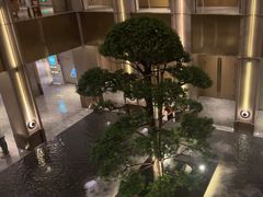 -外滩·云南人家(昆明旗舰店)