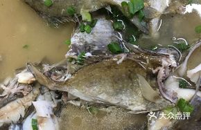 Salt-Soaked Mudskipper Fish