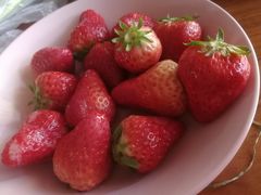 -物美超市(马家堡店)