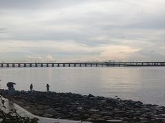 -宝安西湾红树林湿地公园