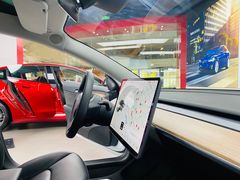 -TESLA 特斯拉(郑州正弘城体验店)