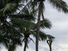 -深圳湾公园(南山区)