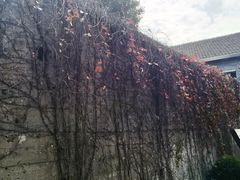 -半岛1919创意园区