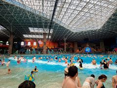 -哈尔滨波塞冬海底世界