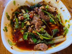 -峨眉山报国寺