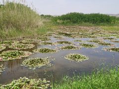 -处女泉风景名胜区