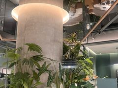 -芸山季·云南山珍菌火锅(南翔印象城MEGA店)