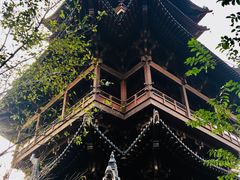 -杭州半山国家森林公园