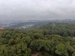 -富乐山