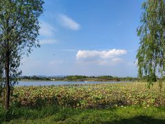 -仙山湖景区