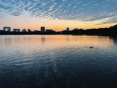 -海珠湖公园