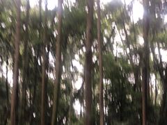 -凤栖山