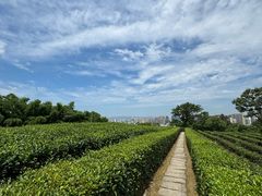 -绍兴东湖风景区