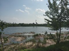 -蒲河岛湿地公园