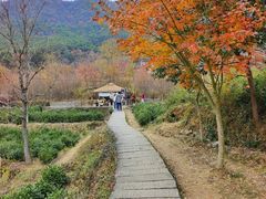 -塔川景区
