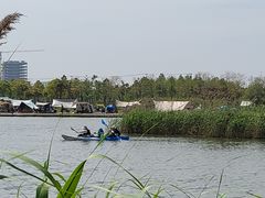 -春花秋色城市公园