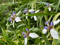 -南宁花花大世界景区