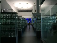 -中国药科大学（江宁校区）-图书馆