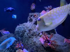 -成都浩海立方海洋公园