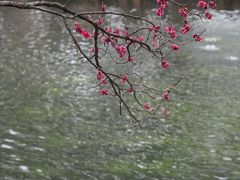 -无锡梅园公园
