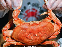 -The Boiling Crab宝灵蟹手抓海鲜(中国首店)
