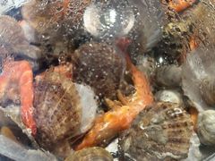 -大锅强·蒸海鲜青岛菜(金沙滩店)