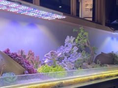 -街角等你.大连海鲜烧烤.经典铁板海鲜串(西安路店)