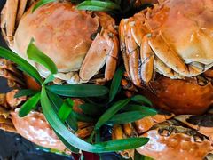 -小厨娘淮扬菜(六合欢乐港店)