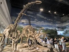 -自贡恐龙博物馆