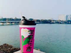 -马伍旺饮料厂(景枫中心店)