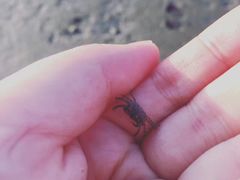 -霞山观海长廊