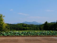 -清漾毛氏文化村