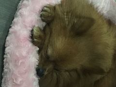 iphone_upload_pic-A+摄影