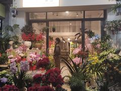 -溪岸路花鸟市场