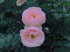 -人民公园(罗湖区)