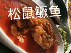 松鼠鳜鱼-状元楼(金溪路店)